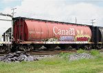 CP Covered Hopper 606360